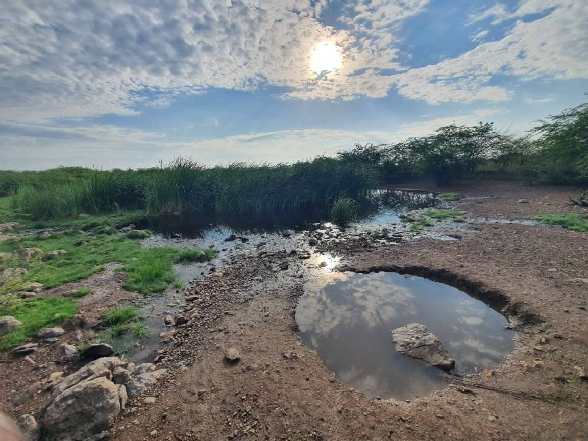 Environmental Degradation Solutions